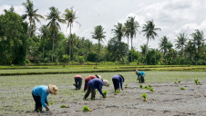 G20 leaders have been urged to work with governments where low-income suppliers and growers are located to agree on furlough schemes that protect farmers from poverty